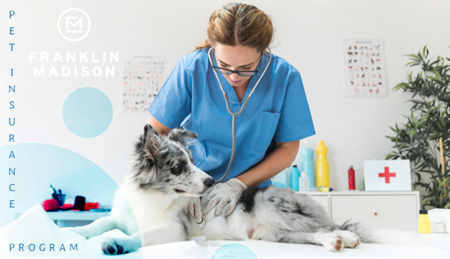 Franklin Madison Pet Insurance Program 