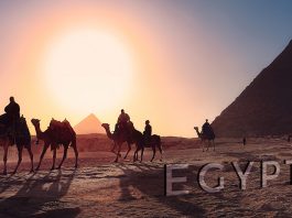 Egypt’s New Sovereign Wealth Fund
