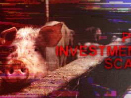 SEC Issues Warning on Pig Investment Scam