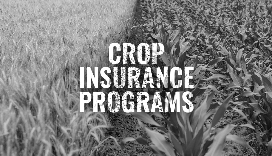 AFSC Reforms its Crop Insurance