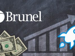 Brunel Group New Wealth Management
