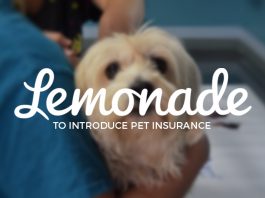 Lemonade to Introduce Pet Insurance