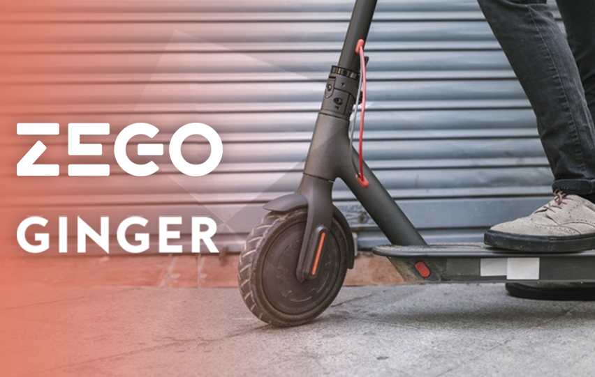 Insurtech Zego Works with Ginger