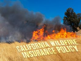 California Wildfire Insurance Policy Poses Difficulties